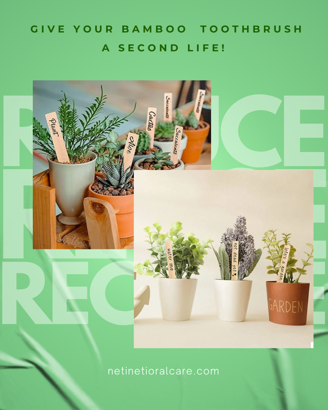 Neti Neti Bamboo Toothbrush – Adult (Pack of 4)